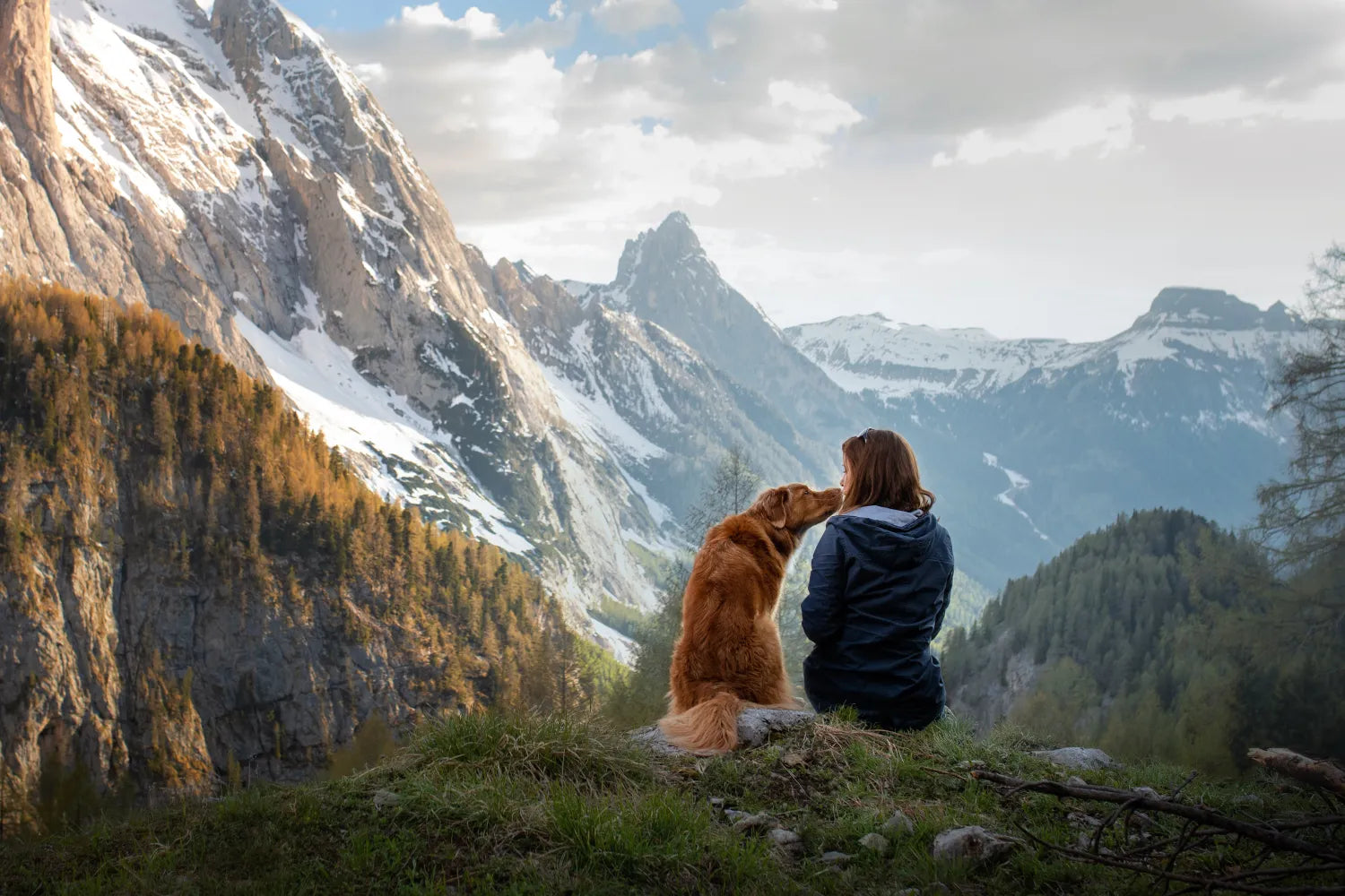 What To Know When Taking Your Dog Hiking