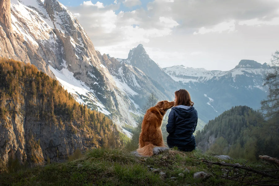 What To Know When Taking Your Dog Hiking
