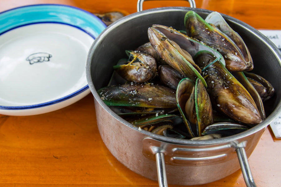 Green Lipped Mussel for Dogs: Natural Mobility Supplement Super Ingredient
