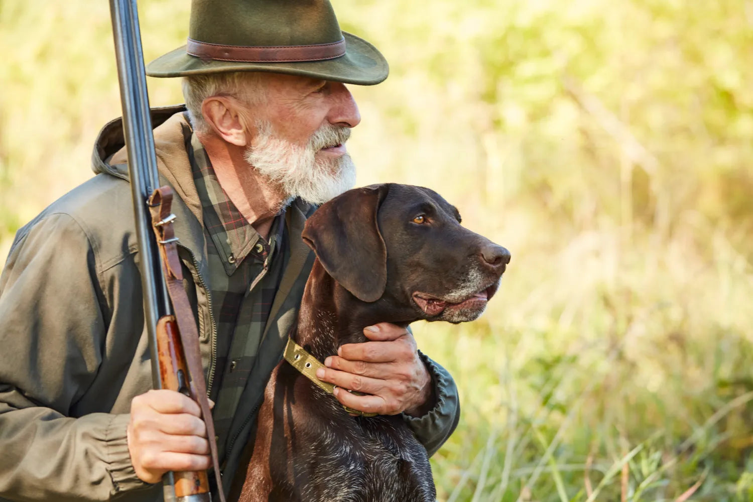 Best Hunting Dog Breeds for Every Bird | Upland Gun Dogs Guide, image size:1500x1000
