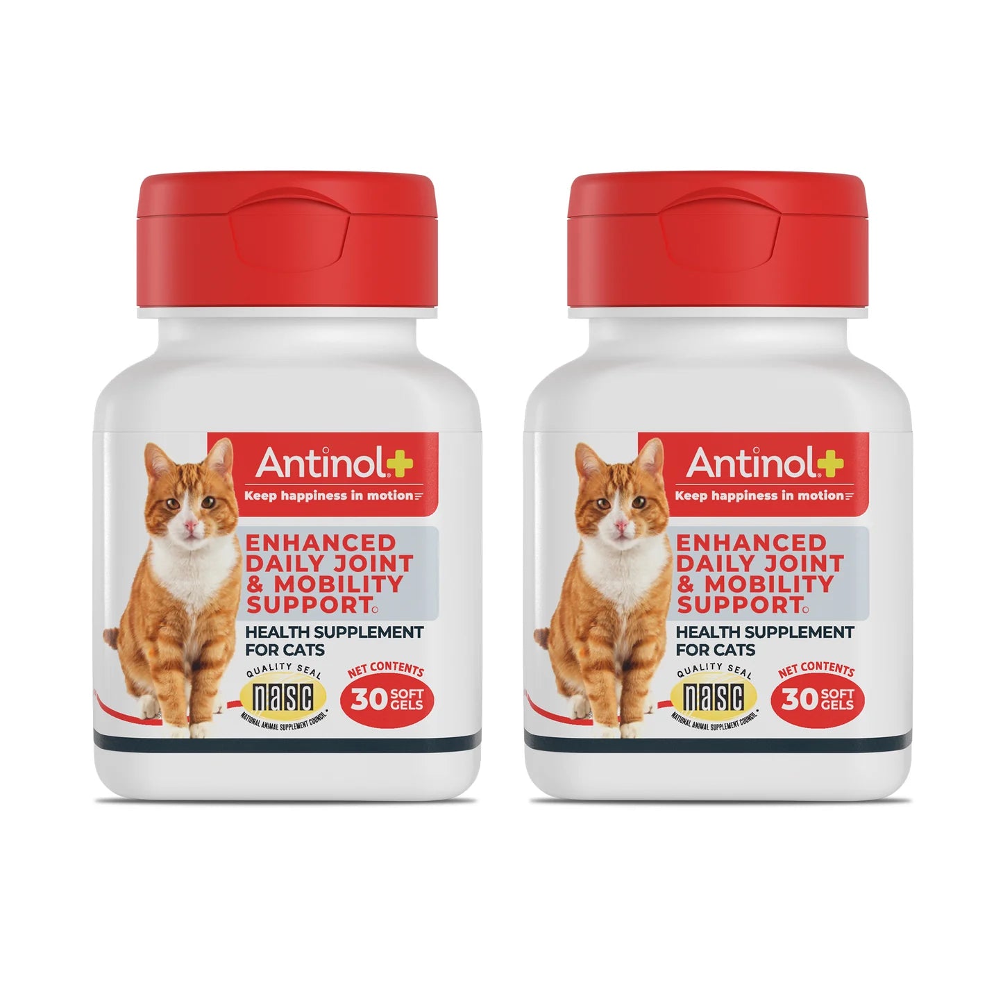 acetyl l carnitine for cats L. Supplement Cat Supplement for Joints and