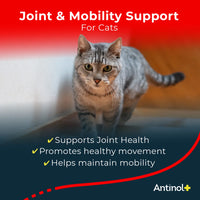 Antinol® Plus for Cats