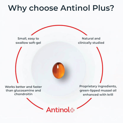 Antinol® Plus - 180ct