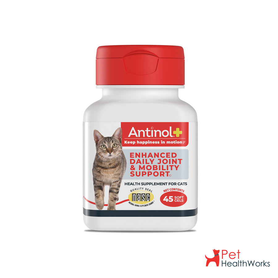 Antinol Plus Cat Vet Size - Shipper - 6 45ct Bottles