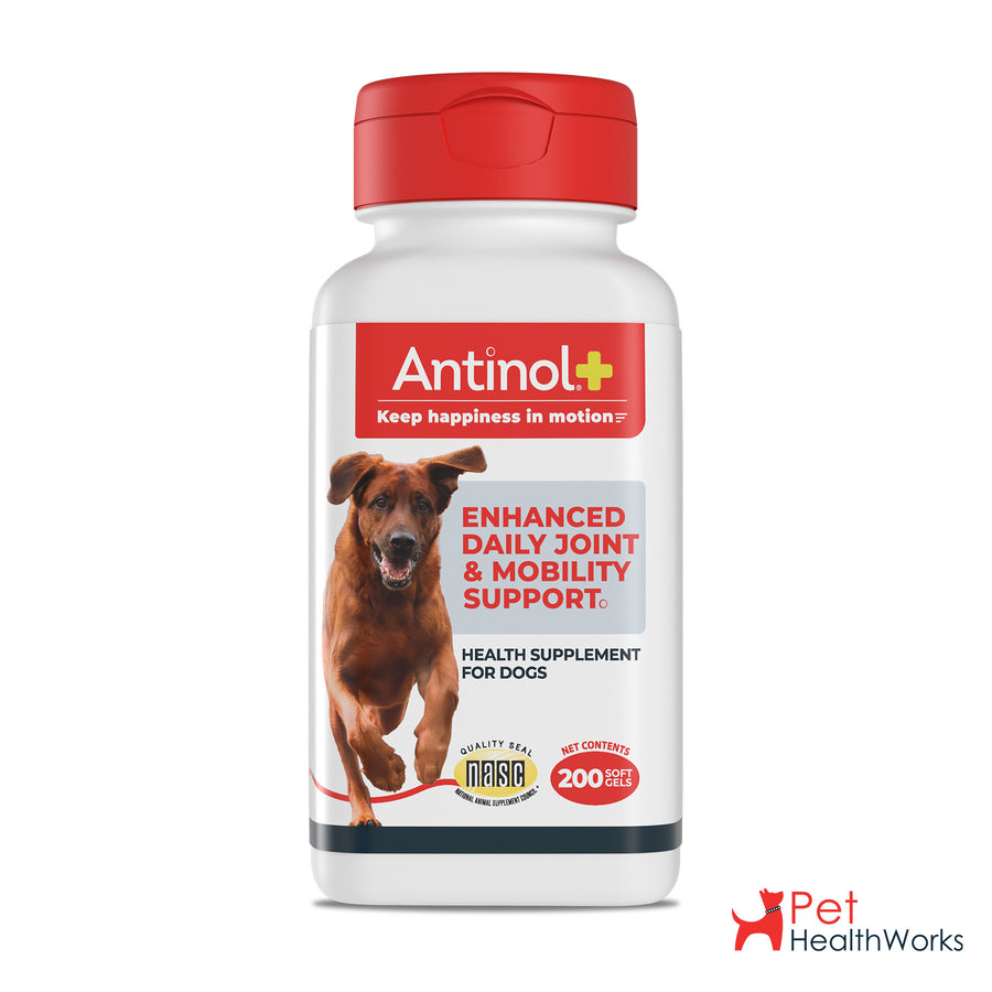 Antinol Plus Dog Vet Size - Shipper - 4 200ct Bottles