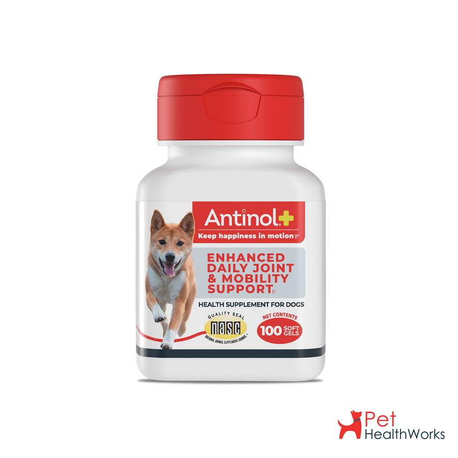 Antinol Plus Dog Vet Size - Shipper - 6 100ct Bottles