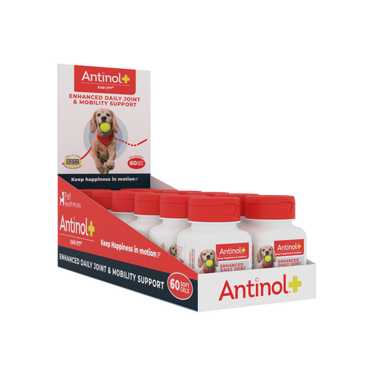 Antinol Plus - Display Shipper - 12 60ct Bottles