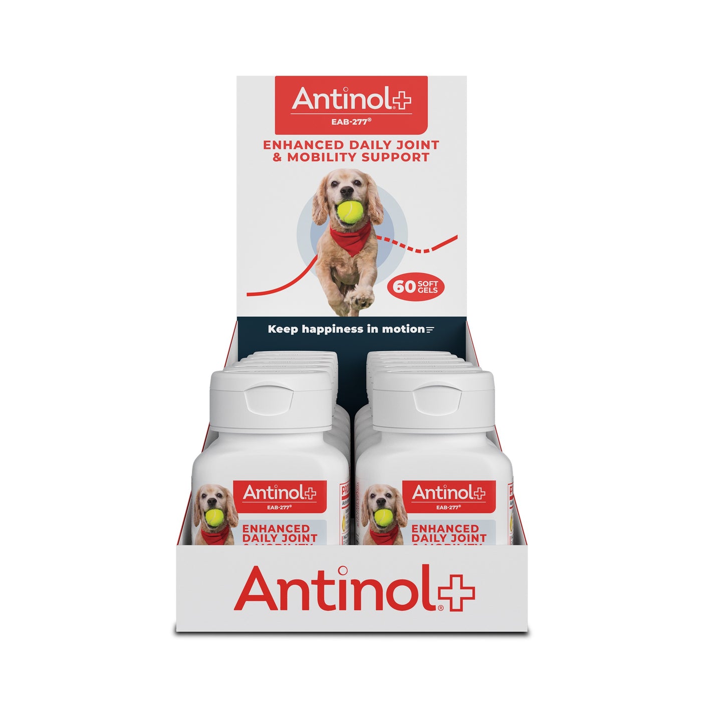 Antinol Plus - Display Shipper - 12 60ct Bottles