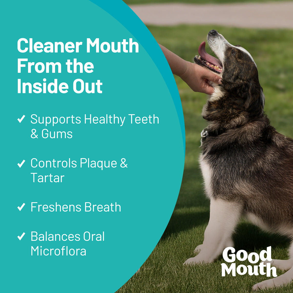 Good Mouth - Dental Chews - 60ct