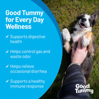 Good Tummy - 3-in-1 Pre, Pro, Postbiotic - 60ct
