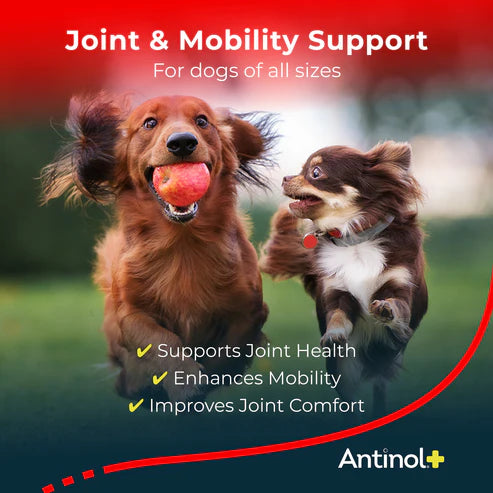 Antinol® Plus for Dogs