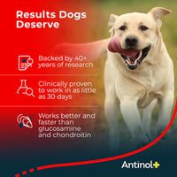 Antinol® Plus for Dogs