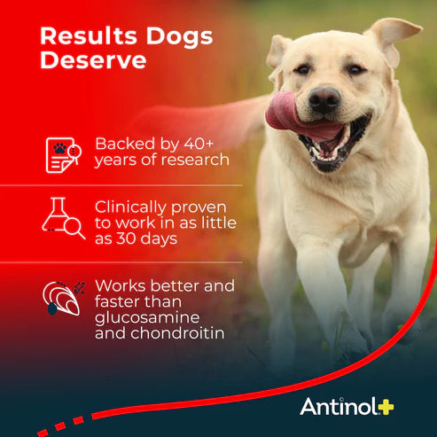 Antinol® Plus for Dogs