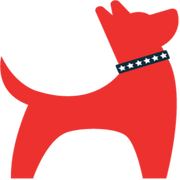 Antinol Plus logo