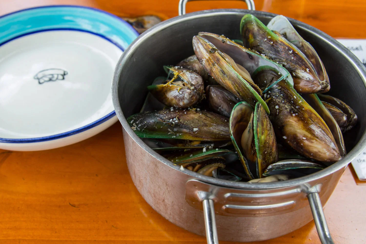 Green Lipped Mussel for Dogs: Natural Mobility Supplement Super Ingredient