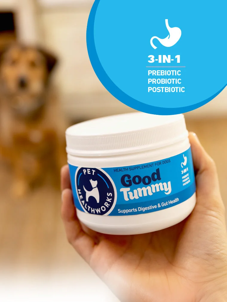 Person holding a 'Good Tummy' pet supplement jar with a dog in the background - 3-IN-1 Prebiotic, Probiotic, Postbiotic