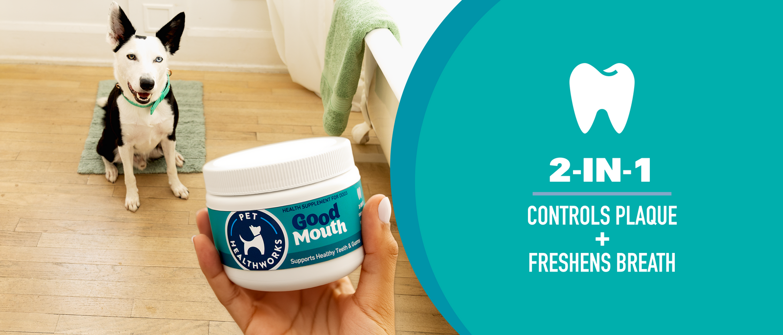 Person holding a 'Good Tummy' pet supplement jar with a dog in the background - 3-IN-1 Prebiotic, Probiotic, Postbiotic