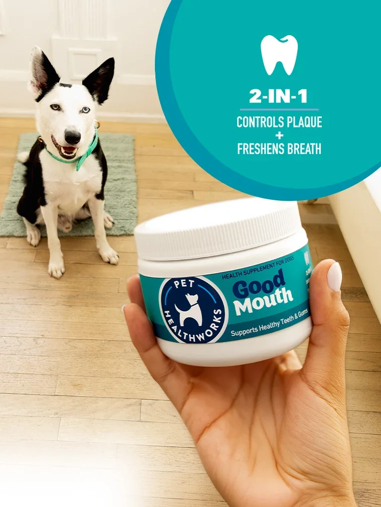 Person holding a 'Good Tummy' pet supplement jar with a dog in the background - 3-IN-1 Prebiotic, Probiotic, Postbiotic