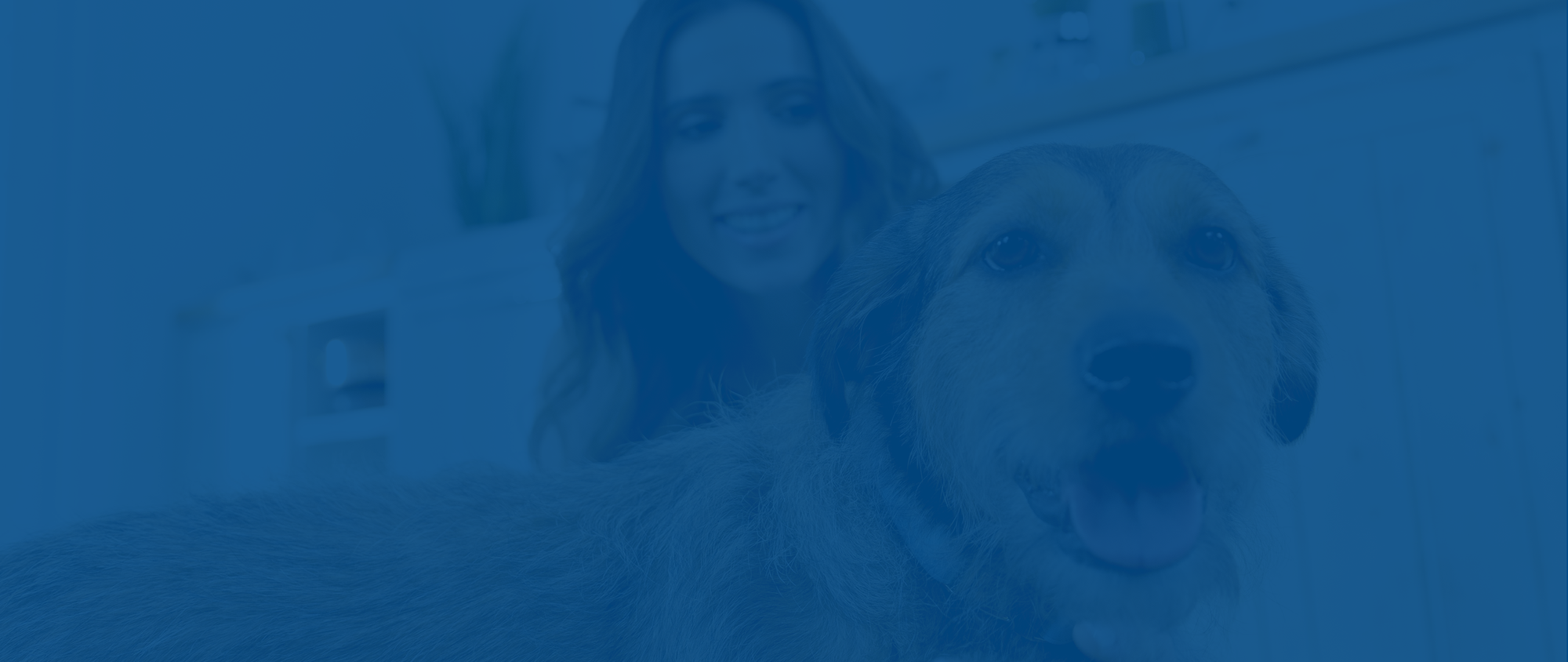 A woman smiles while interacting with a dog in a cozy indoor setting.