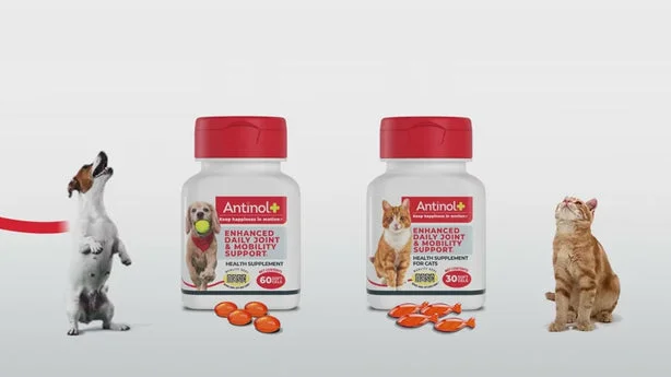 The Making of Antinol Plus